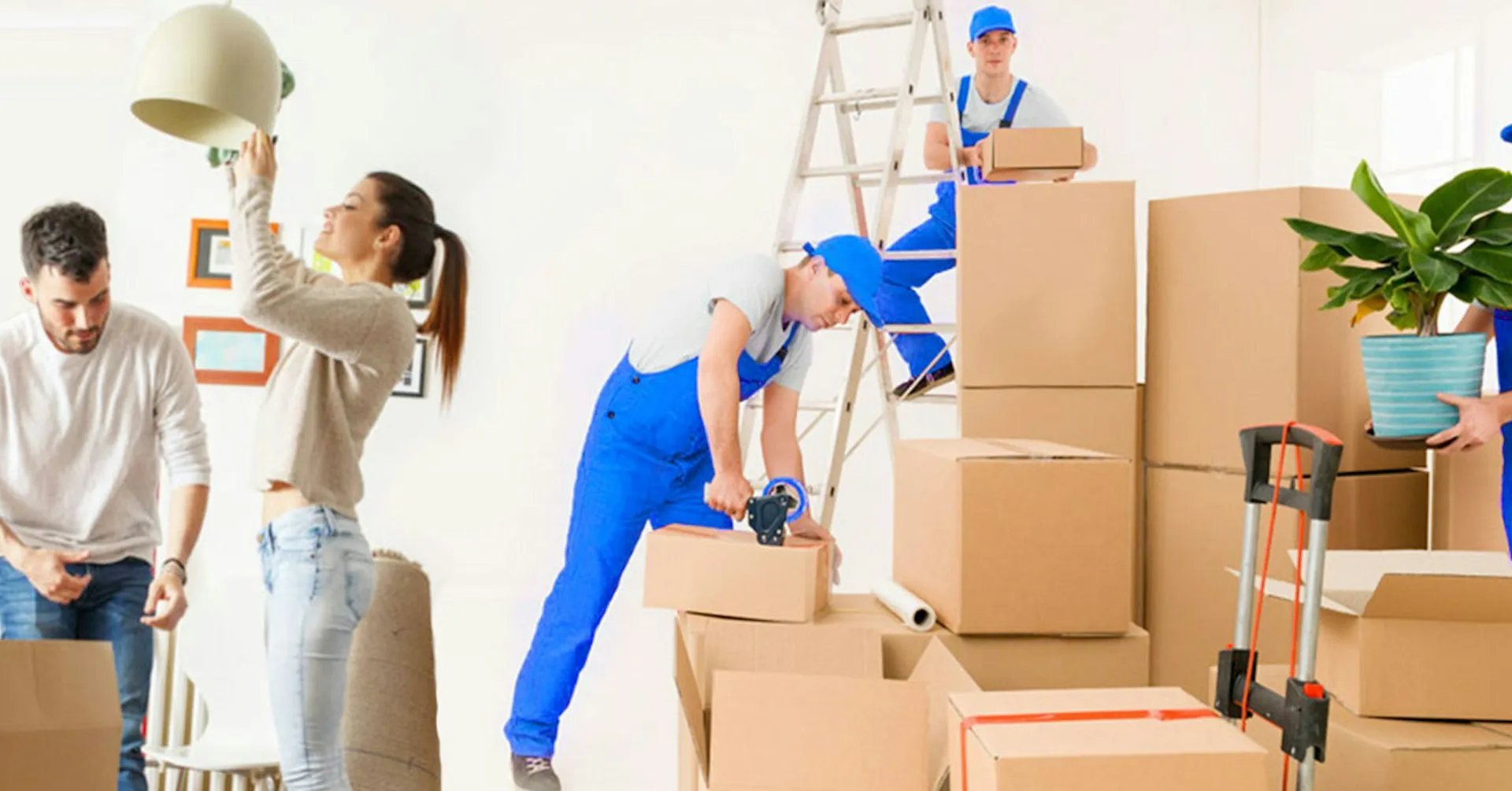 Expert Packing Tips for a Stress-Free Move